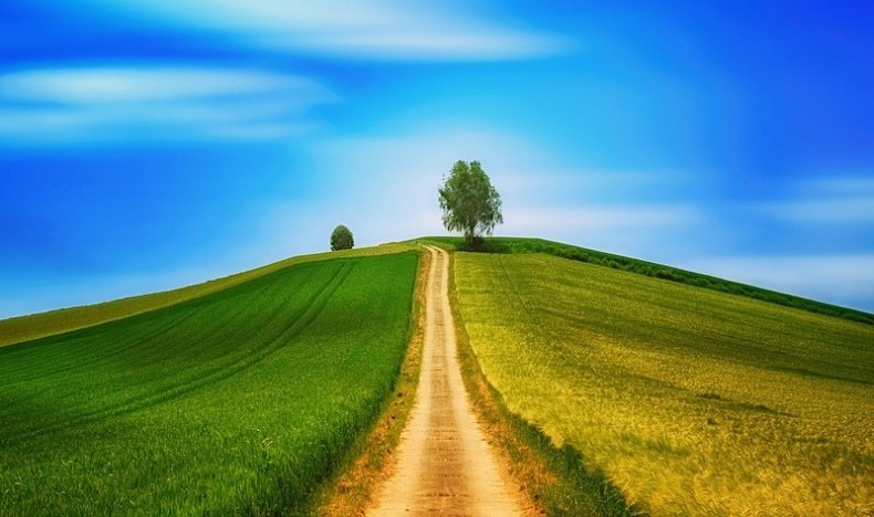 Bli kjent med vår nye generalsekretær, Mads! Bli kjent med vår nye generalsekretær, Mads!